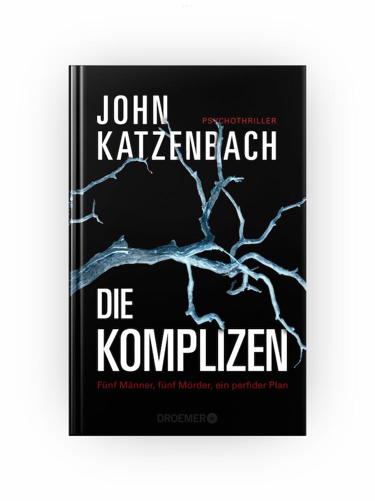 „Die Komplizen“ von John Katzenbach