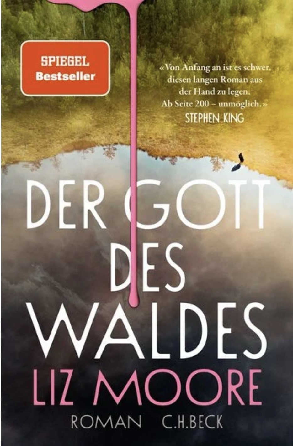 „Der Gott des Waldes“ von Liz Moore