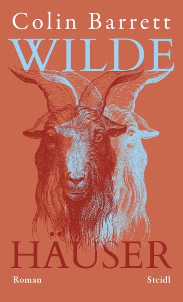 „Wilde Häuser“ von Colin Barrett