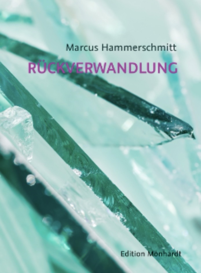 „Rückverwandlung“ von Marcus Hammerschmitt