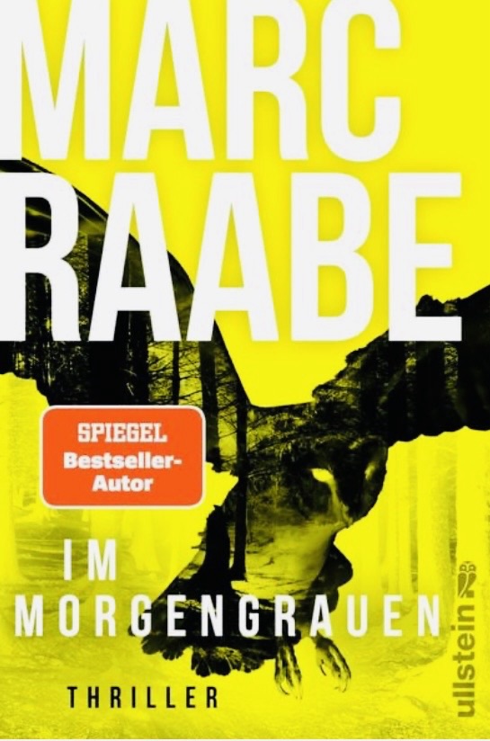 „Im Morgengrauen“ von Marc Raabe